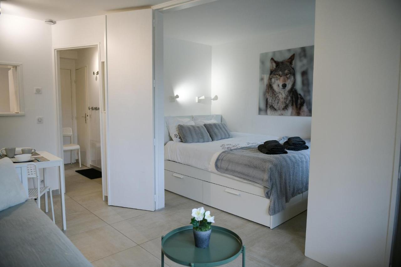 Appartement Chamonix 27 - Au Centre Vue Mont Blanc et Jardin Extérieur photo